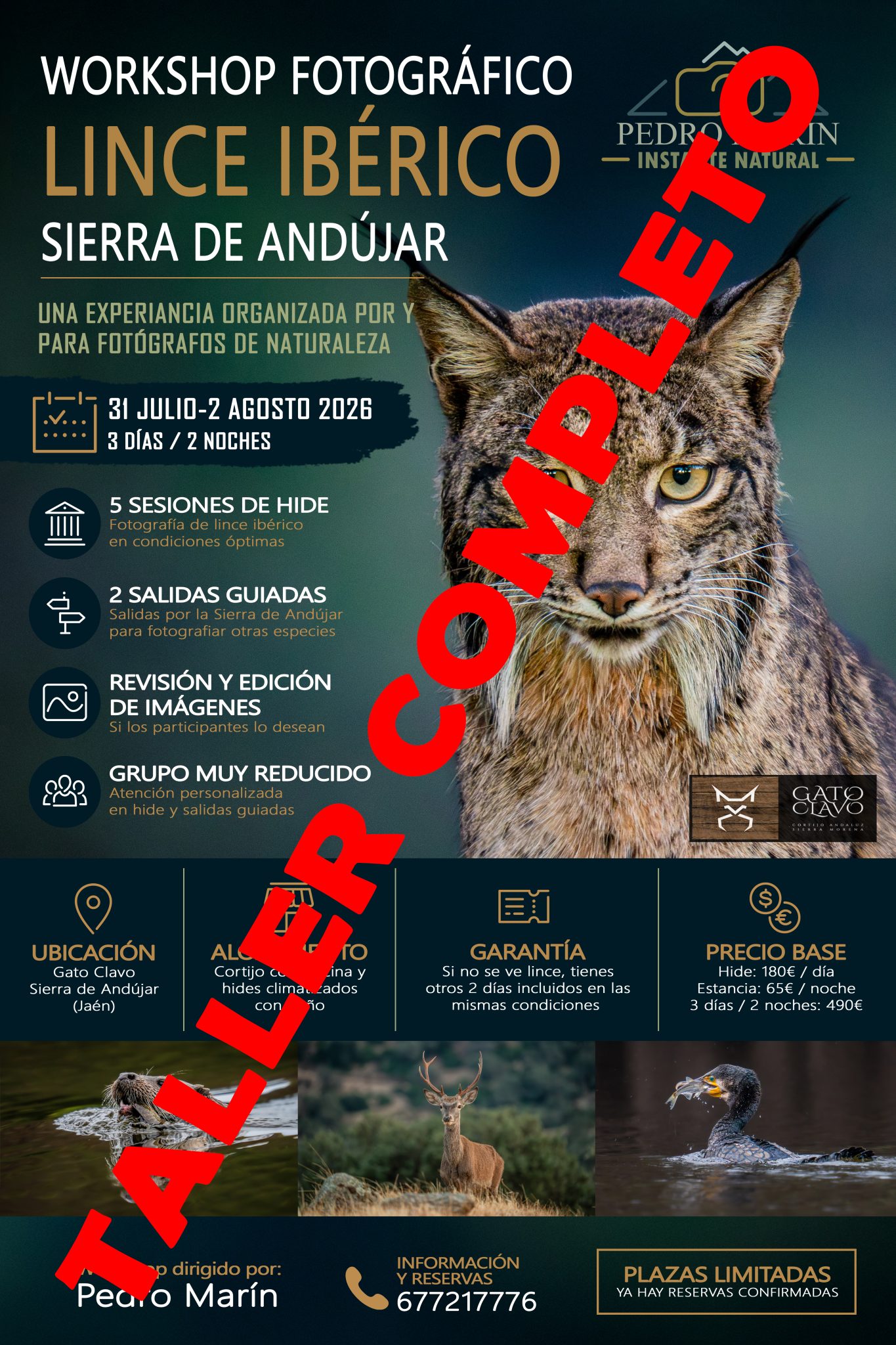 lince iberico workshop experiencias 0001