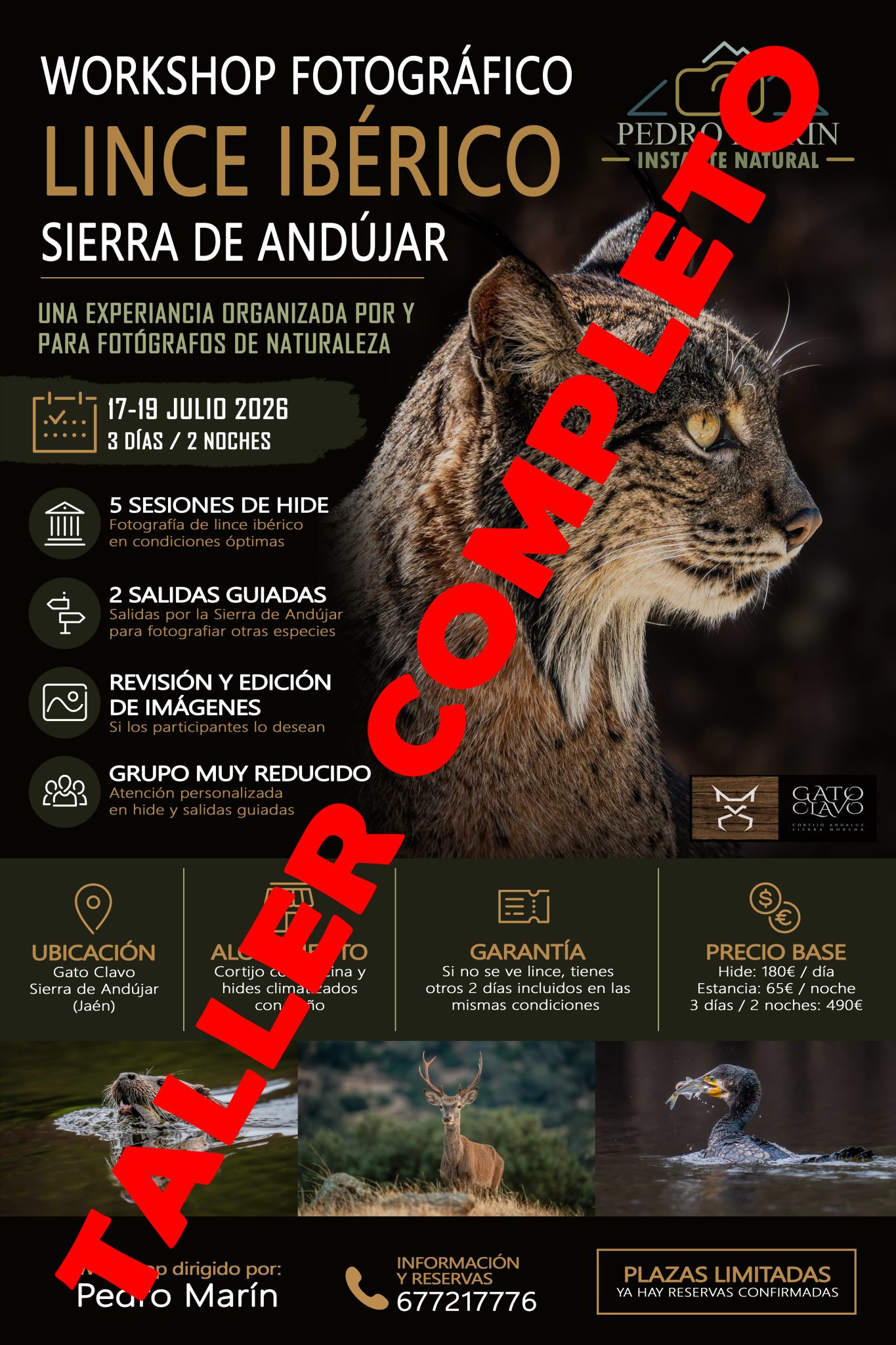 lince iberico workshop experiencias 0002