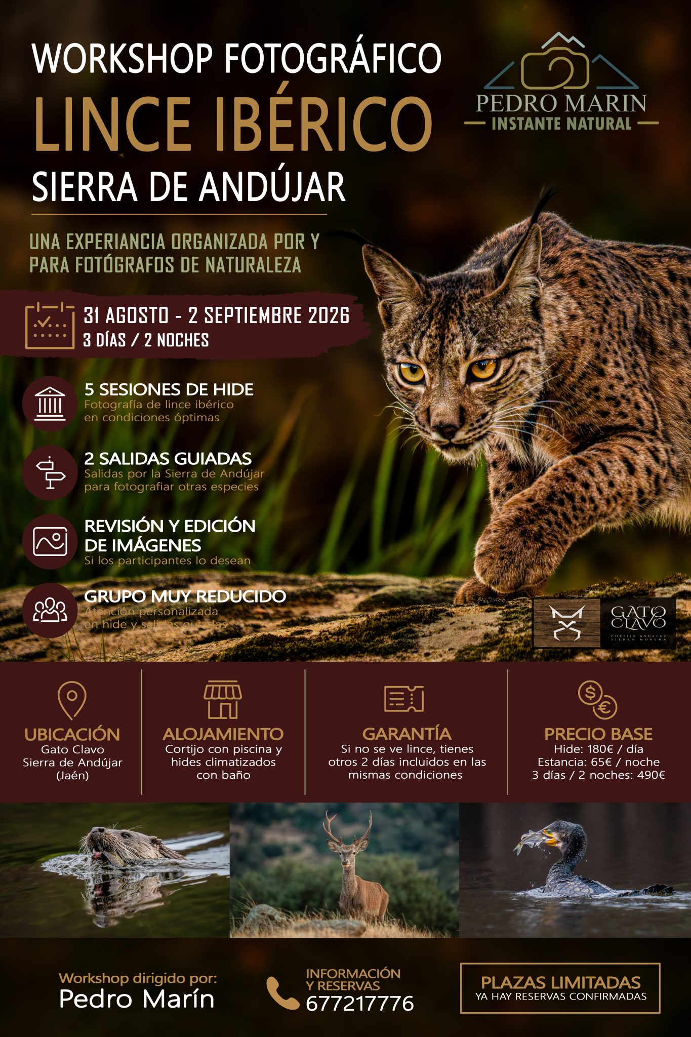 lince iberico workshop inicio 0003