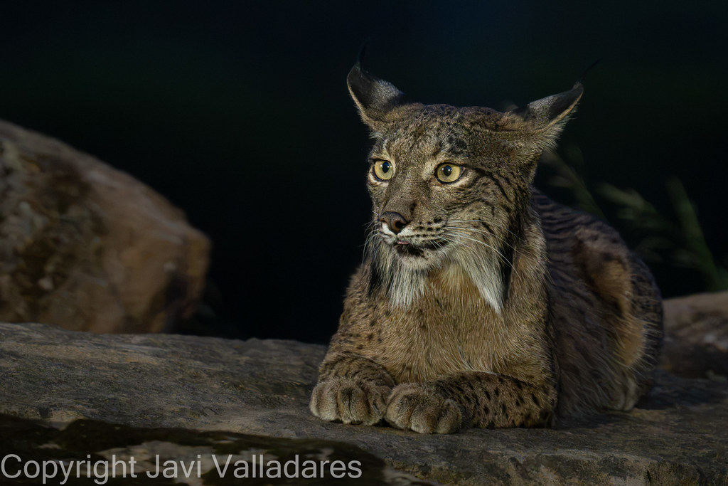 Fotografía compartida por Javi Valladares
