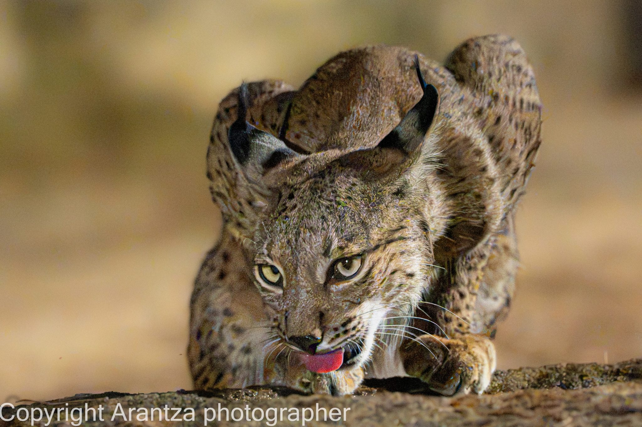 Fotografía compartida por ARANTZA