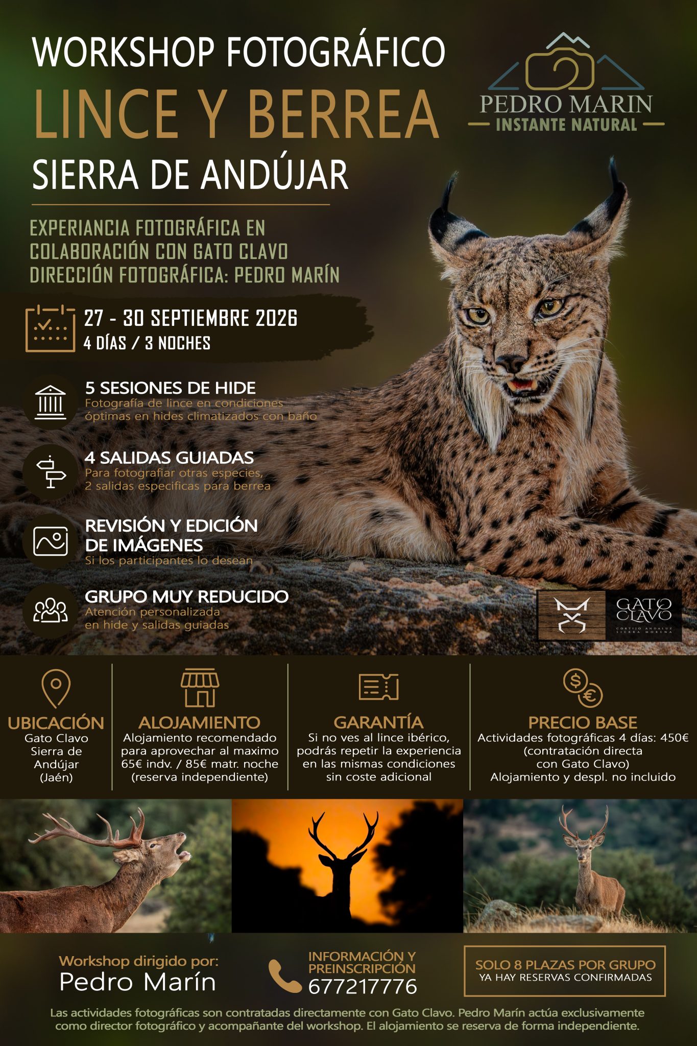 00 workshop lince berrea