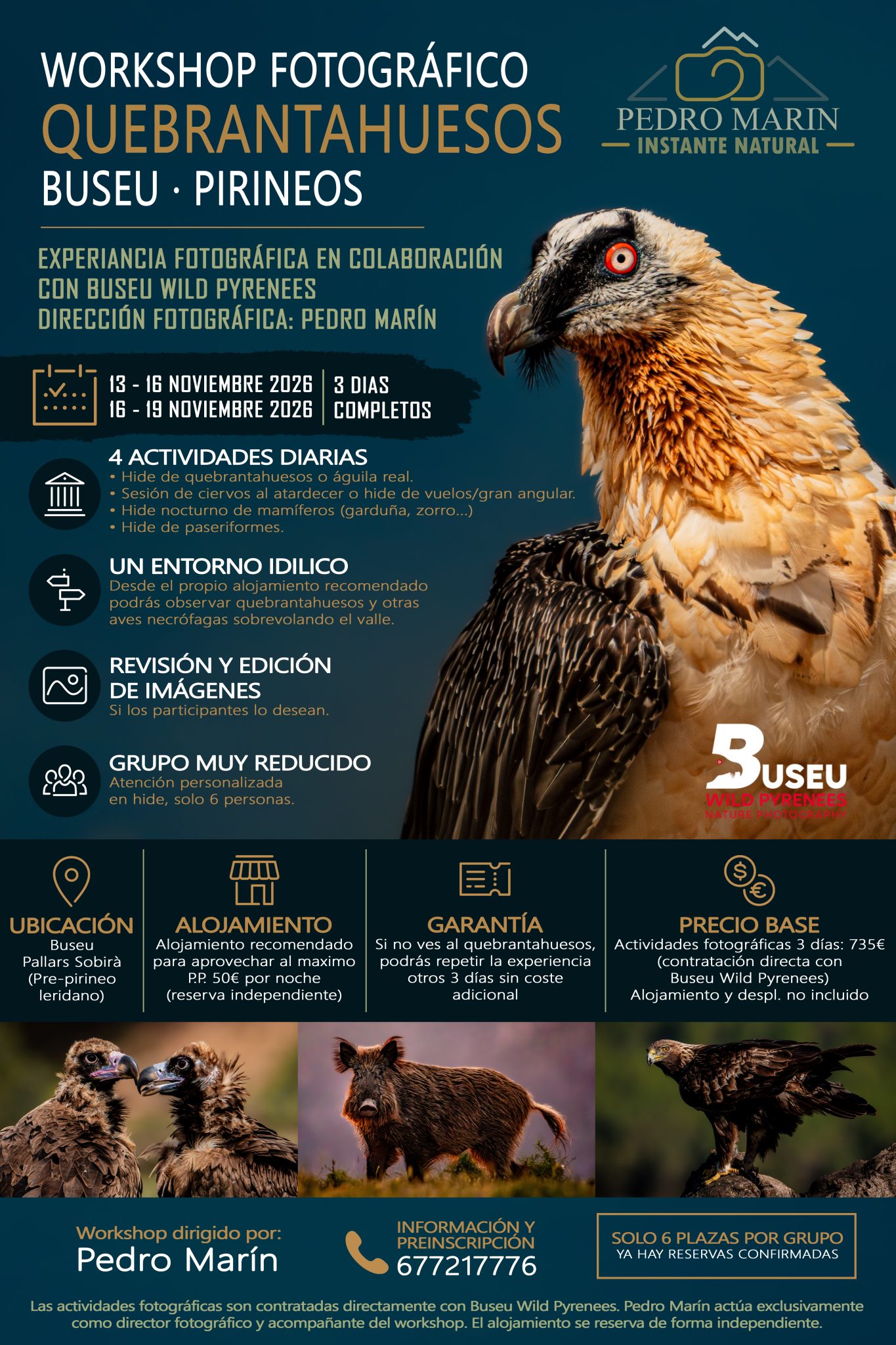 workshop quebranta ok